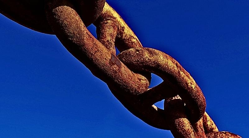 Quantrix Category Linking